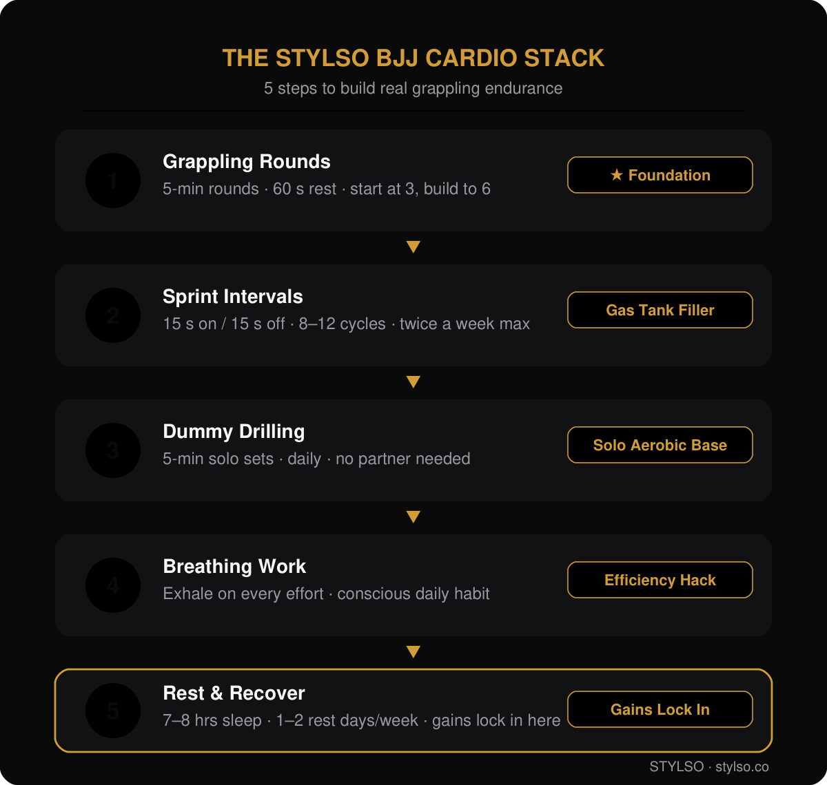 The Stylso BJJ Cardio Stack — 5 steps to build real BJJ endurance