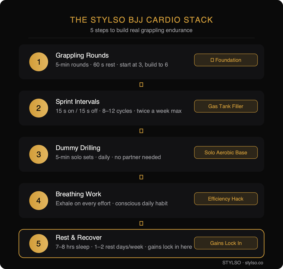 The Stylso BJJ Cardio Stack: 5-step training progression from grappling rounds to recovery