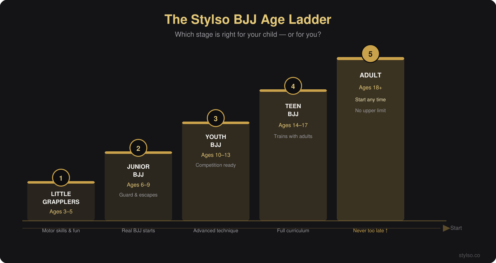 The Stylso BJJ Age Ladder — 5 stages of BJJ training by age and readiness