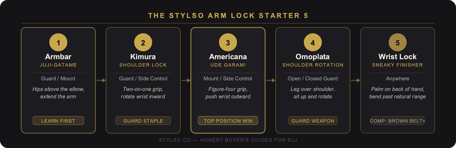 The Stylso Arm Lock Starter 5 — five beginner BJJ arm locks: armbar, kimura, americana, omoplata, wrist lock