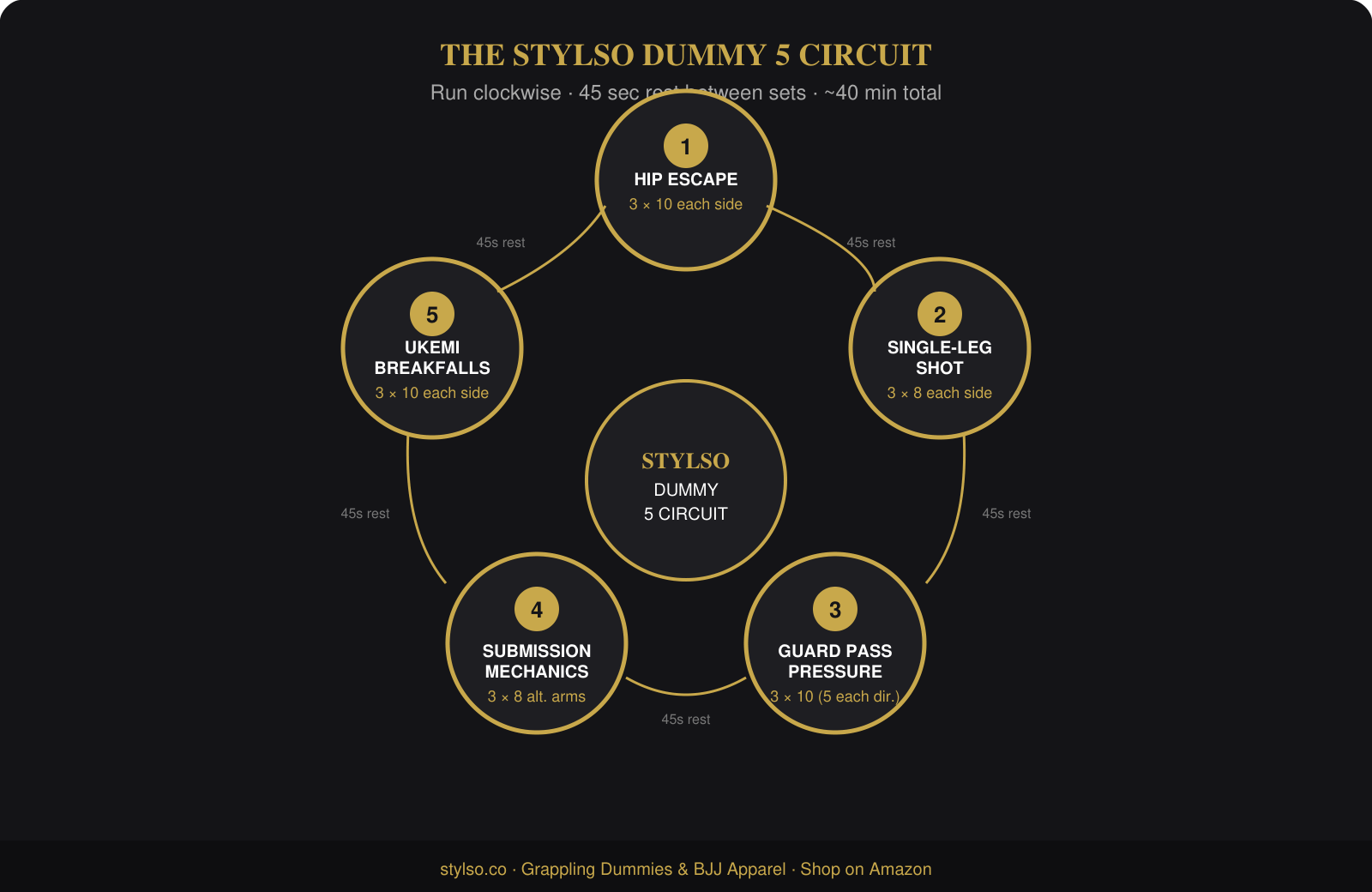 The Stylso Dummy 5 Circuit — Grappling Dummy Exercises for BJJ